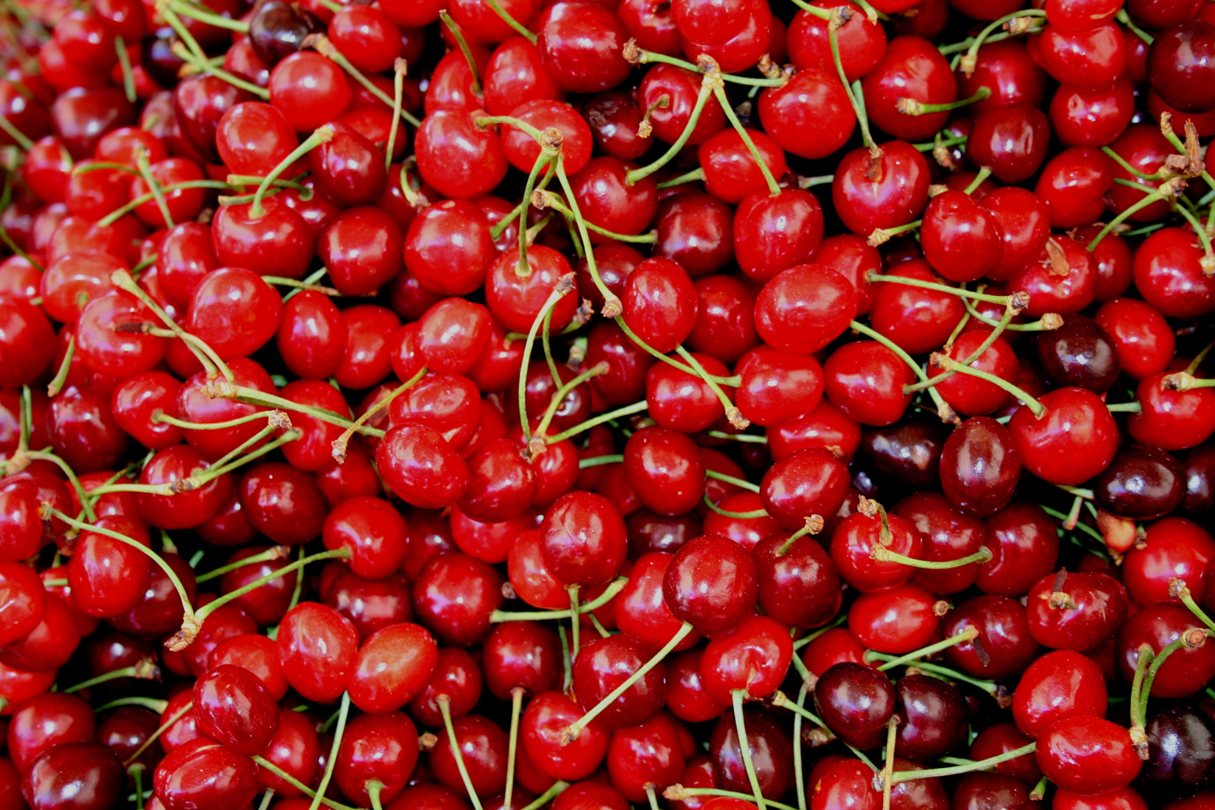 Premium Sour Cherries - BB Fruto 21